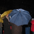 Ruhe- und Therapiepark Adventfeier 9. Dezember 09 - BesucherInnen