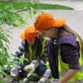 23. April - Kräuterpflanzen im Mariahilfer Ruhepark