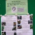 Mariahilfer Ruhe- und Therapiepark - Beschallungsfreie Infos im Glaskasten