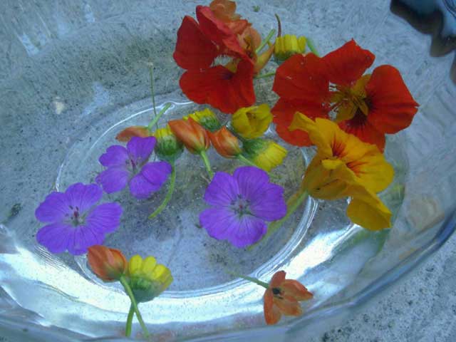 sommerblumen_in_schuessel.jpg