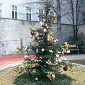 Mariahilfer Ruhe- und Therapiepark - Weihnachtsbaum