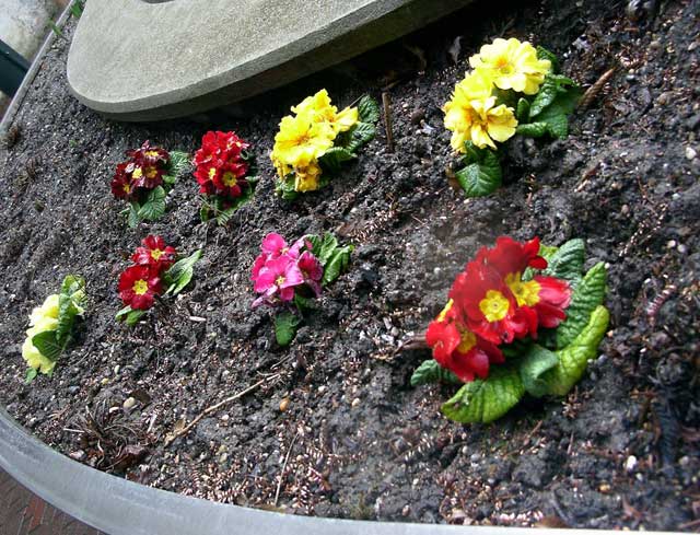 mariahilfer-ruhe-und-therapiepark-erster-fruehlingsgruss.jpg