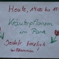 Kräutersetzen im Mariahilfer Ruhe- und Therapiepark