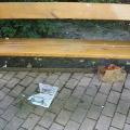 Verschmutzungen im Park am 14. Juni 2010