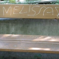 Verschmutzungen im Park am 14. Juni 2010