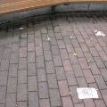 Ruhepark Verschmutzung 27 Mai 2010 