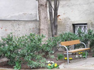 Bank und Primeln im Ruhepark