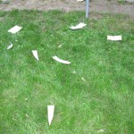 Ruhepark Aktion Buch im Park Vandalismus
