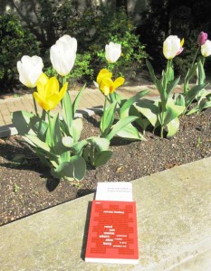 Buch im Park April 2011